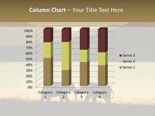 Elephant Bulls Wrestling At Sunset PowerPoint Template