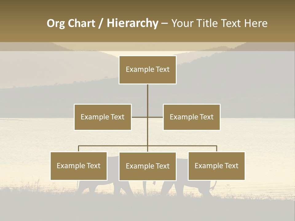 Elephant Bulls Wrestling At Sunset PowerPoint Template