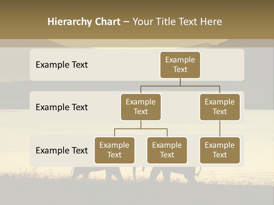 Elephant Bulls Wrestling At Sunset PowerPoint Template
