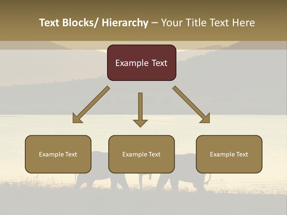 Elephant Bulls Wrestling At Sunset PowerPoint Template