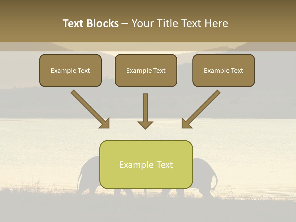 Elephant Bulls Wrestling At Sunset PowerPoint Template