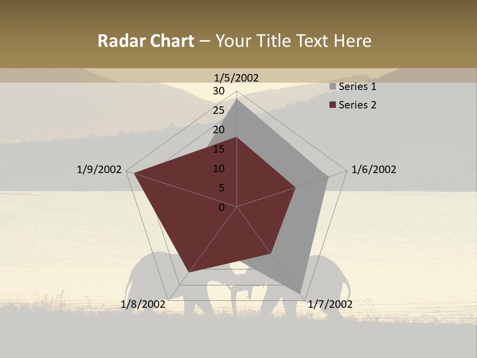 Elephant Bulls Wrestling At Sunset PowerPoint Template