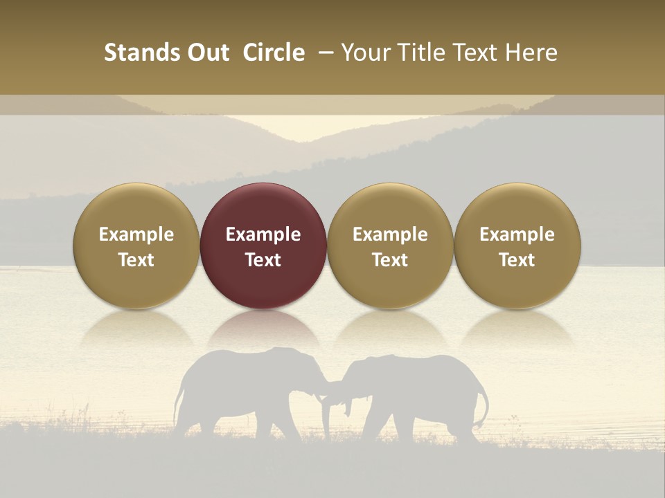 Elephant Bulls Wrestling At Sunset PowerPoint Template