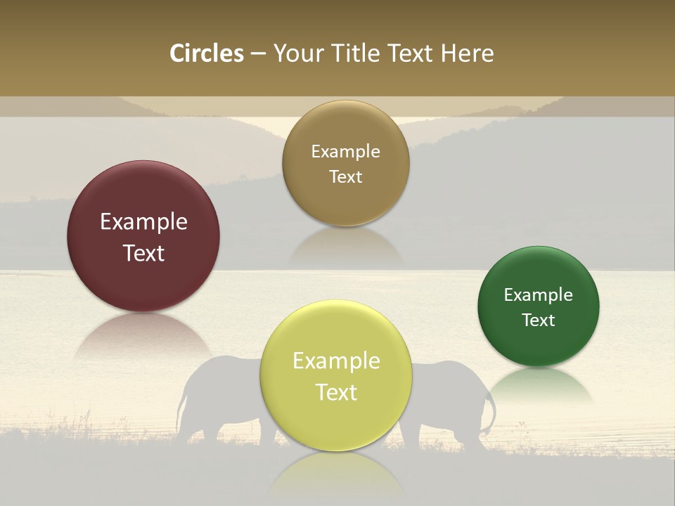 Elephant Bulls Wrestling At Sunset PowerPoint Template