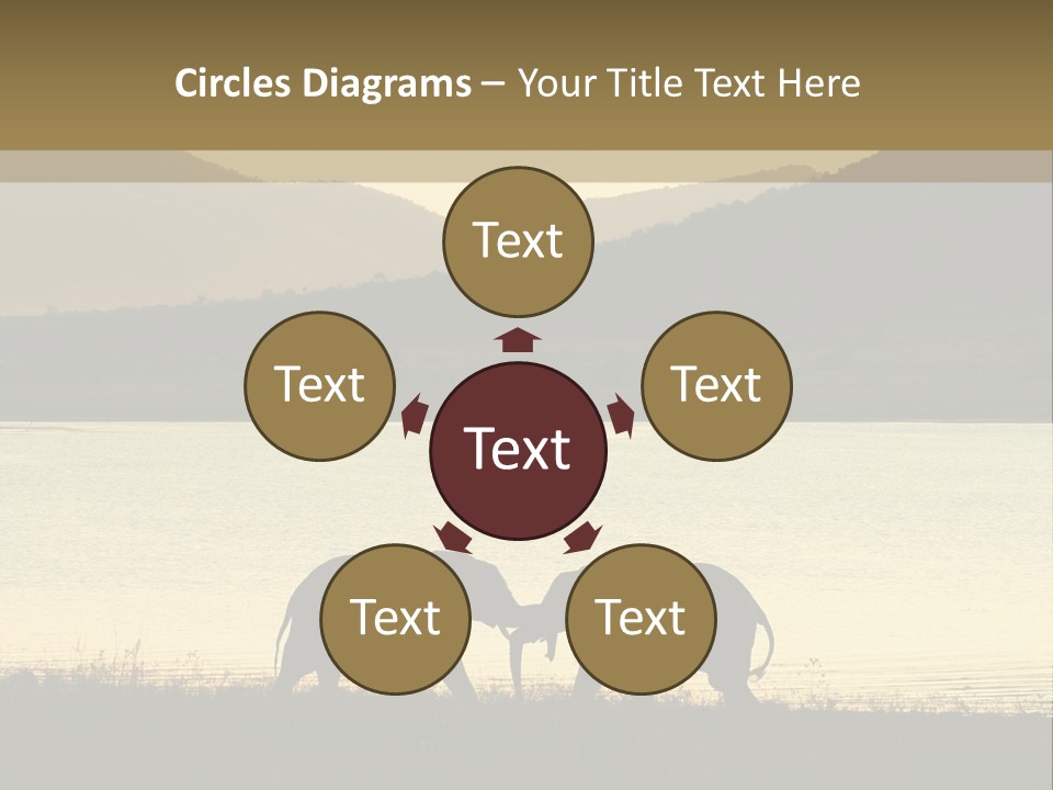 Elephant Bulls Wrestling At Sunset PowerPoint Template