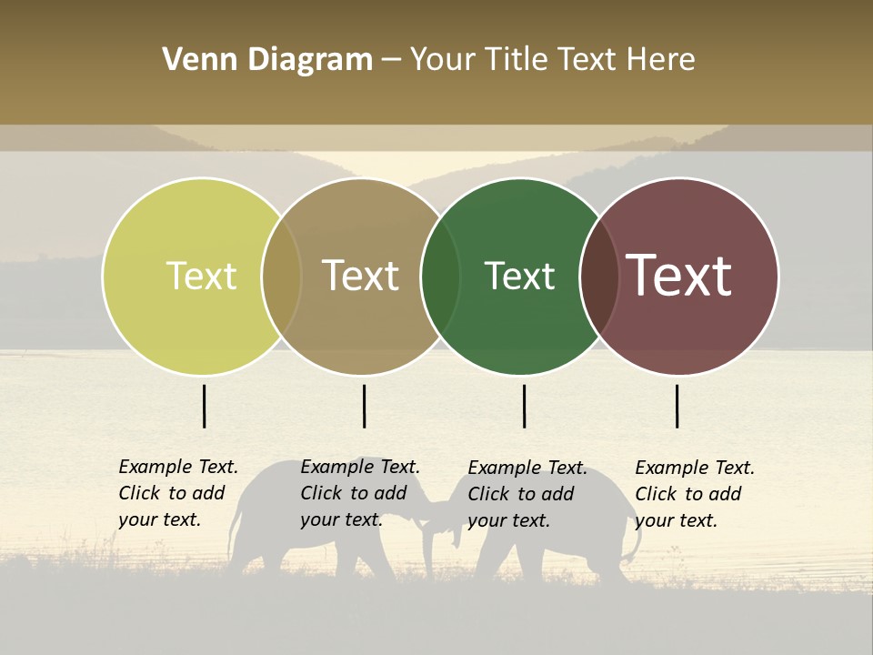 Elephant Bulls Wrestling At Sunset PowerPoint Template