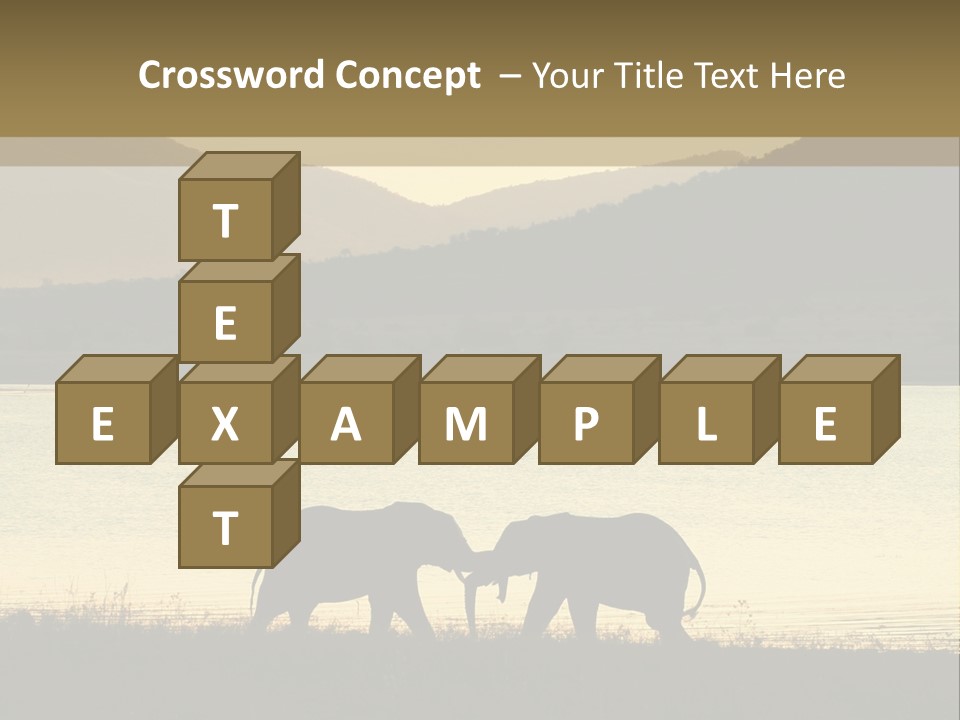 Elephant Bulls Wrestling At Sunset PowerPoint Template