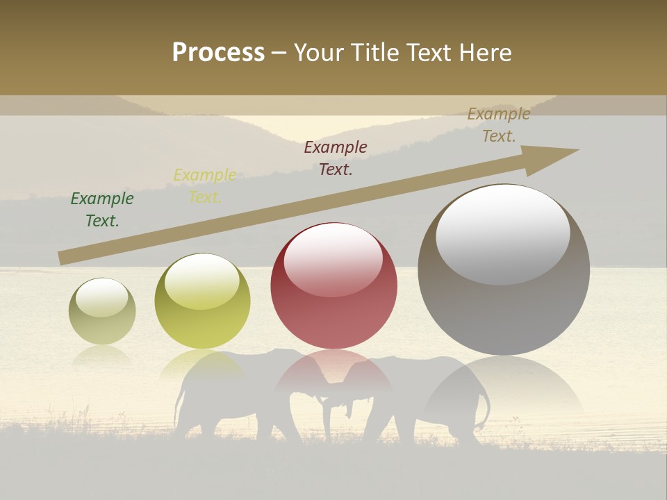 Elephant Bulls Wrestling At Sunset PowerPoint Template