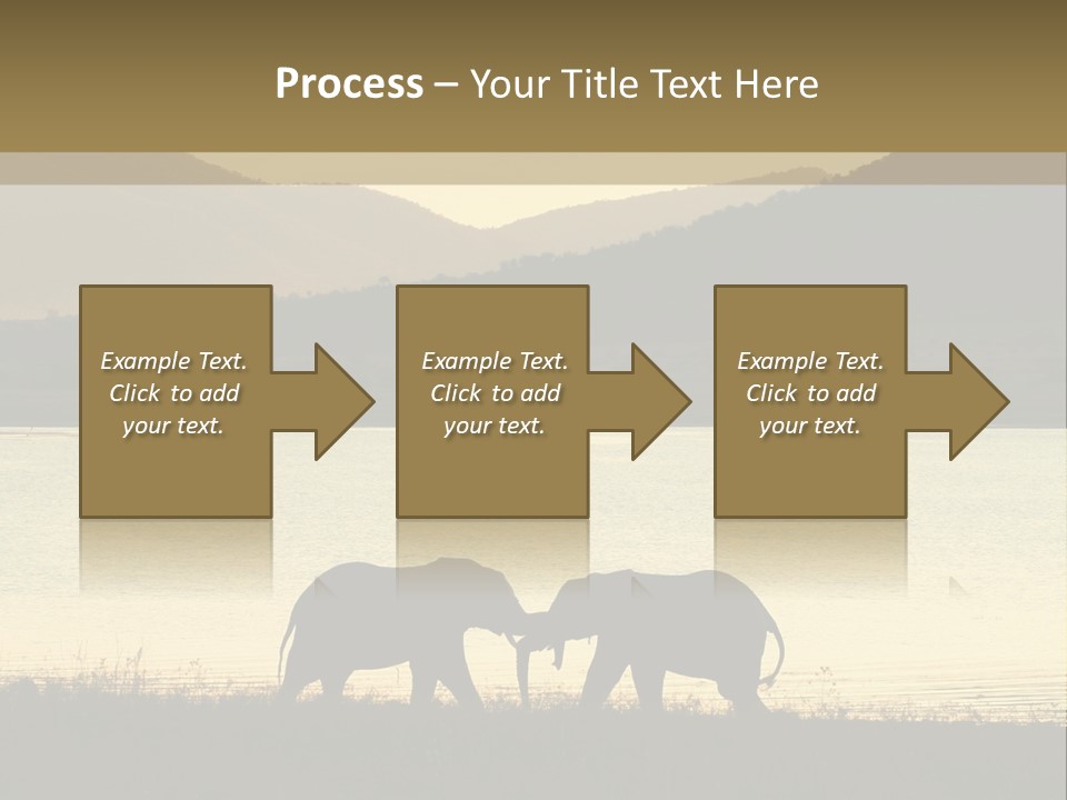 Elephant Bulls Wrestling At Sunset PowerPoint Template