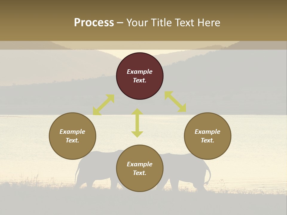 Elephant Bulls Wrestling At Sunset PowerPoint Template