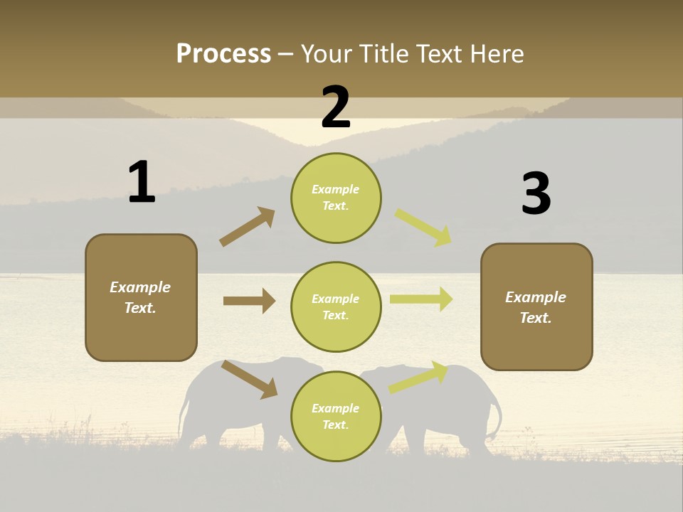 Elephant Bulls Wrestling At Sunset PowerPoint Template