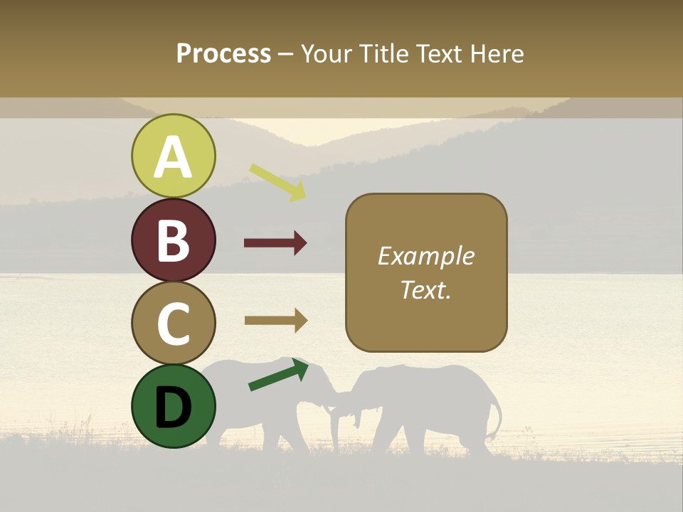 Elephant Bulls Wrestling At Sunset PowerPoint Template
