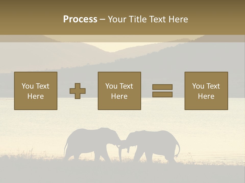 Elephant Bulls Wrestling At Sunset PowerPoint Template