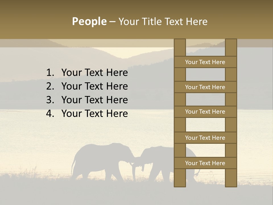 Elephant Bulls Wrestling At Sunset PowerPoint Template