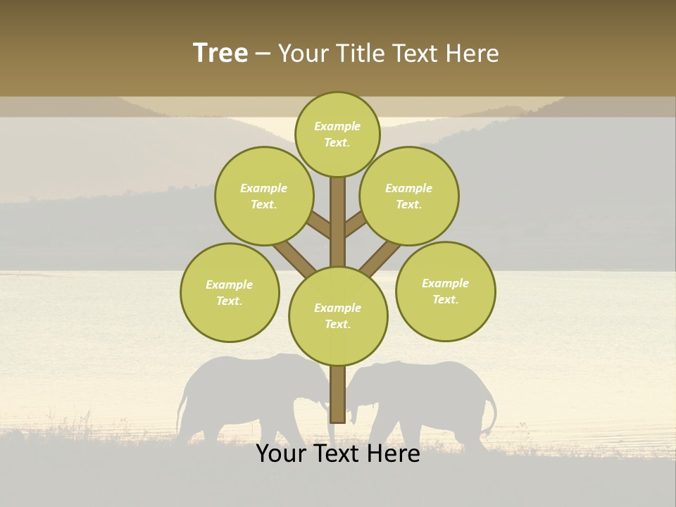 Elephant Bulls Wrestling At Sunset PowerPoint Template