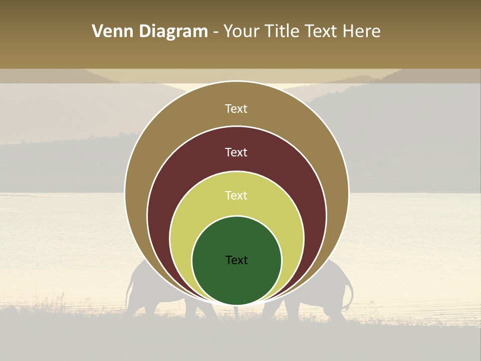 Elephant Bulls Wrestling At Sunset PowerPoint Template