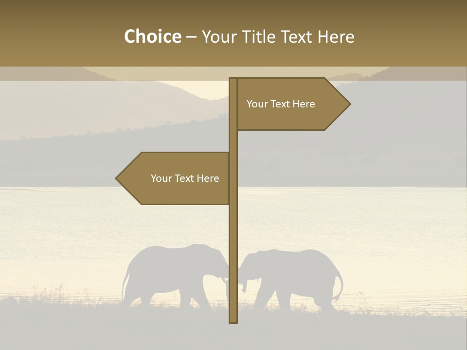 Elephant Bulls Wrestling At Sunset PowerPoint Template