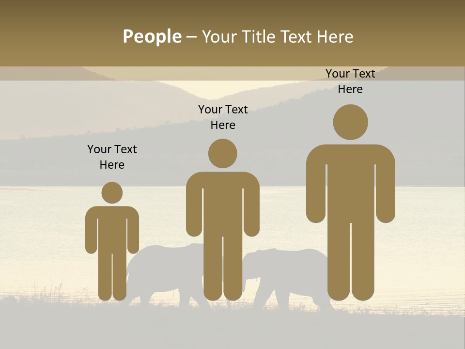 Elephant Bulls Wrestling At Sunset PowerPoint Template