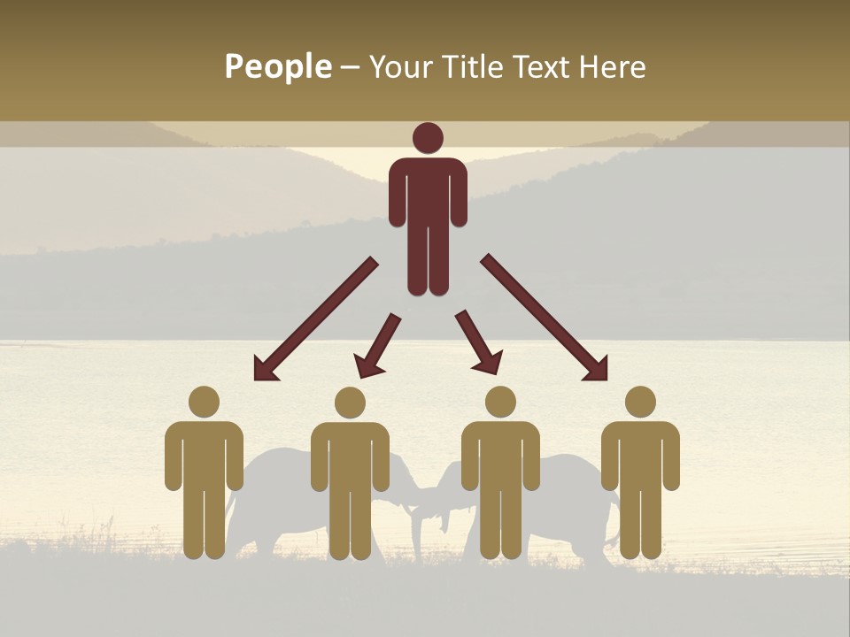 Elephant Bulls Wrestling At Sunset PowerPoint Template