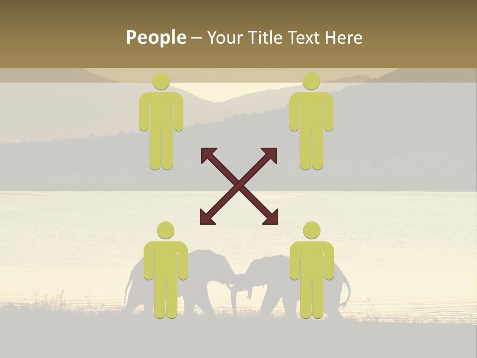 Elephant Bulls Wrestling At Sunset PowerPoint Template