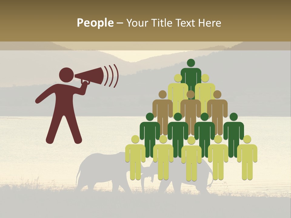 Elephant Bulls Wrestling At Sunset PowerPoint Template