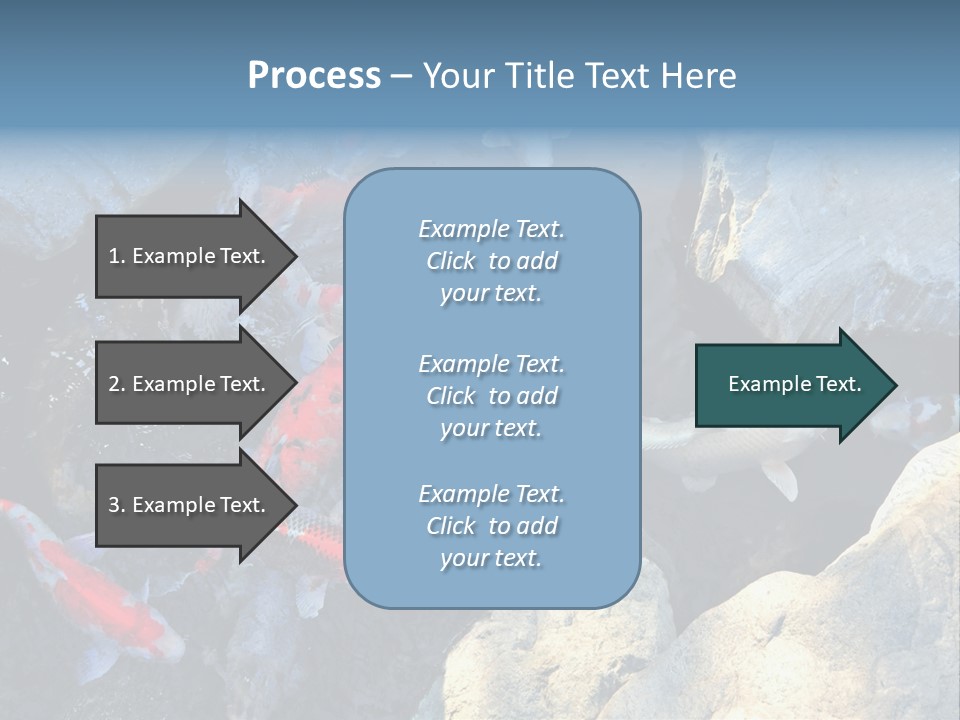 Colorful Koi Fish In Pond PowerPoint Template