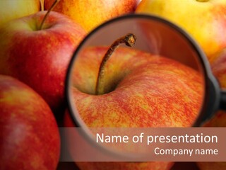 Red Apples With Magnifying Glass PowerPoint Template