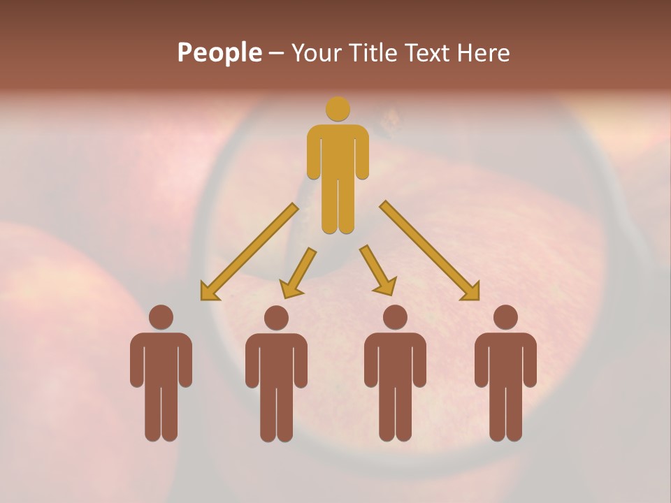 Red Apples With Magnifying Glass PowerPoint Template