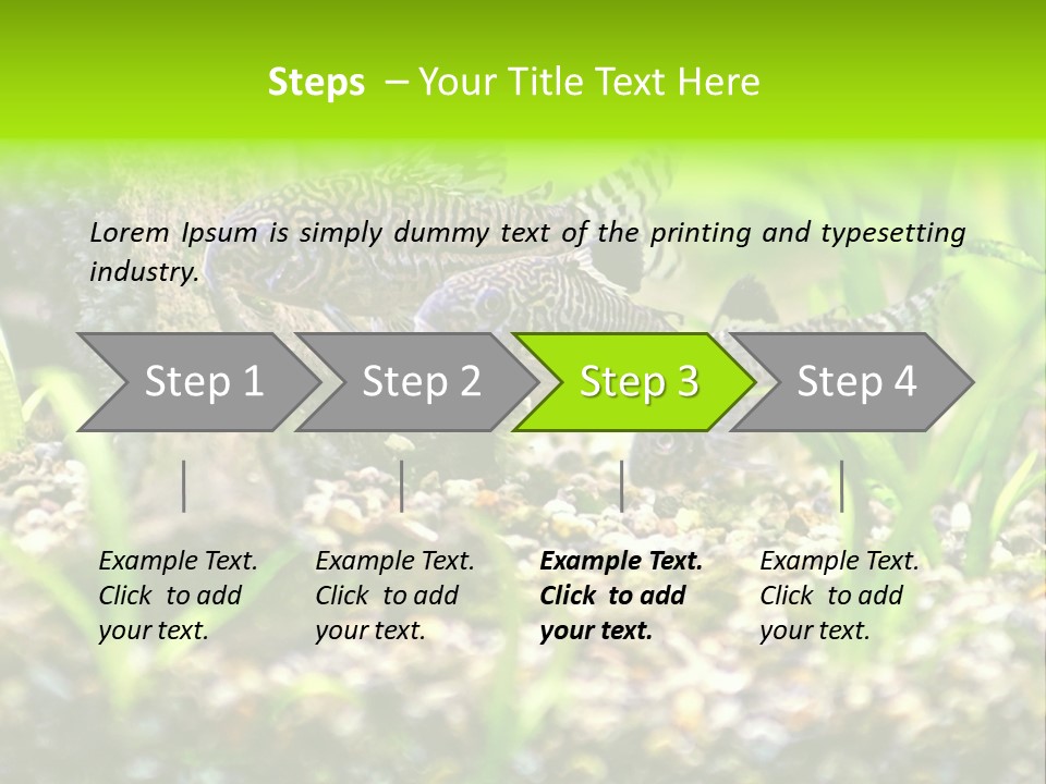 Three Corydoras Trinilleatus Catfish Swimming In A Planted Tropical Aquarium. Space For Copy. PowerPoint Template