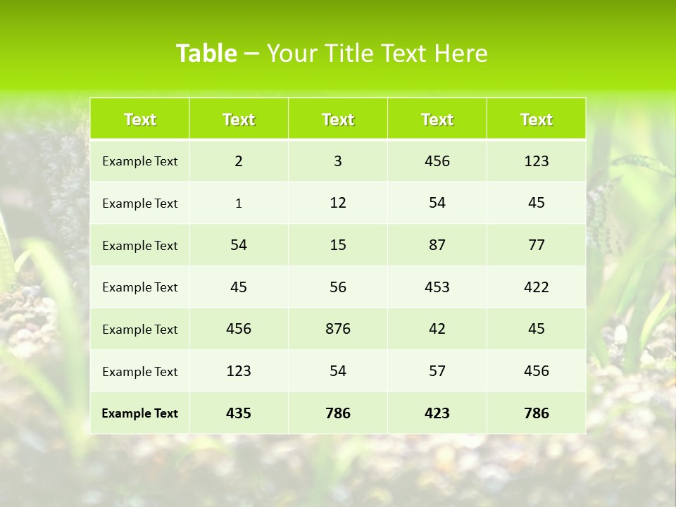 Three Corydoras Trinilleatus Catfish Swimming In A Planted Tropical Aquarium. Space For Copy. PowerPoint Template