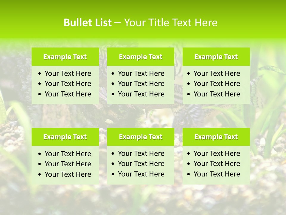 Three Corydoras Trinilleatus Catfish Swimming In A Planted Tropical Aquarium. Space For Copy. PowerPoint Template
