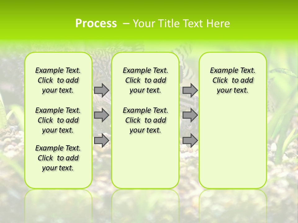 Three Corydoras Trinilleatus Catfish Swimming In A Planted Tropical Aquarium. Space For Copy. PowerPoint Template