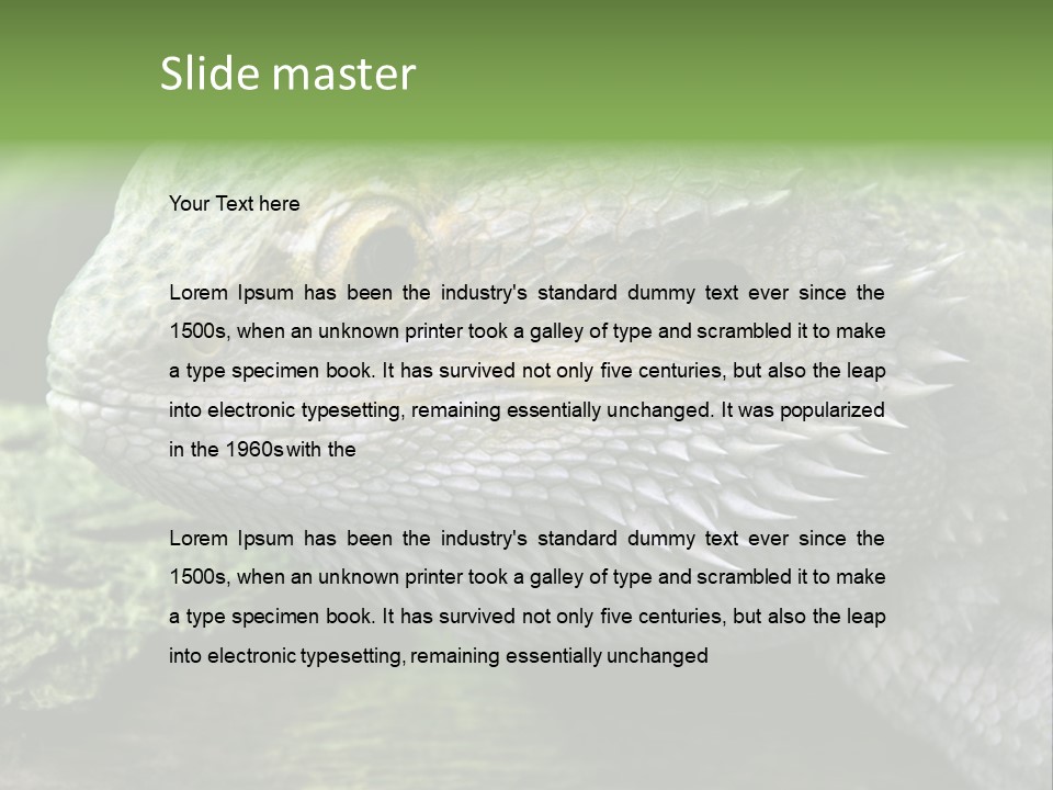 Close Up Of Bearded Dragon Reptile PowerPoint Template