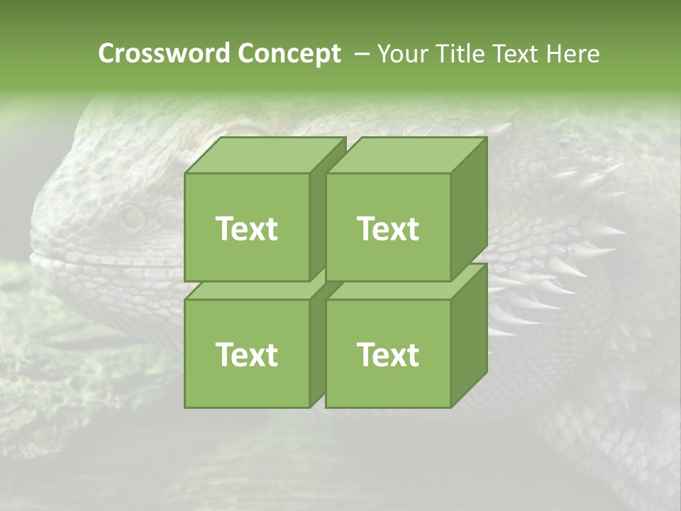 Close Up Of Bearded Dragon Reptile PowerPoint Template