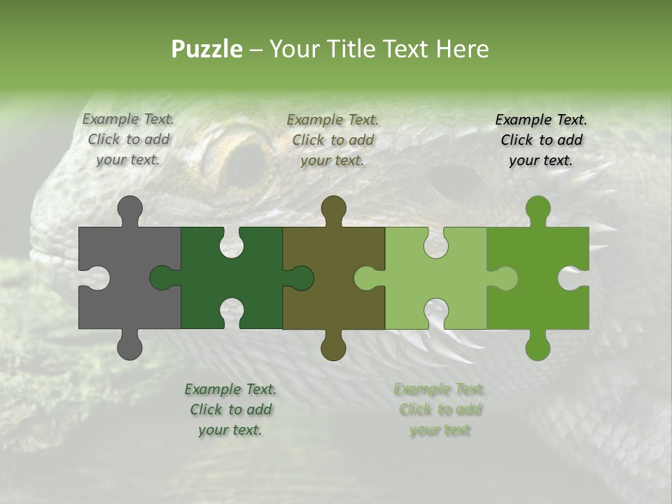 Close Up Of Bearded Dragon Reptile PowerPoint Template