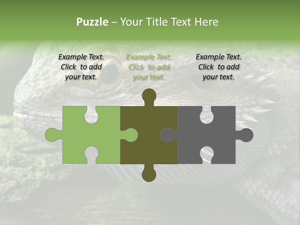 Close Up Of Bearded Dragon Reptile PowerPoint Template