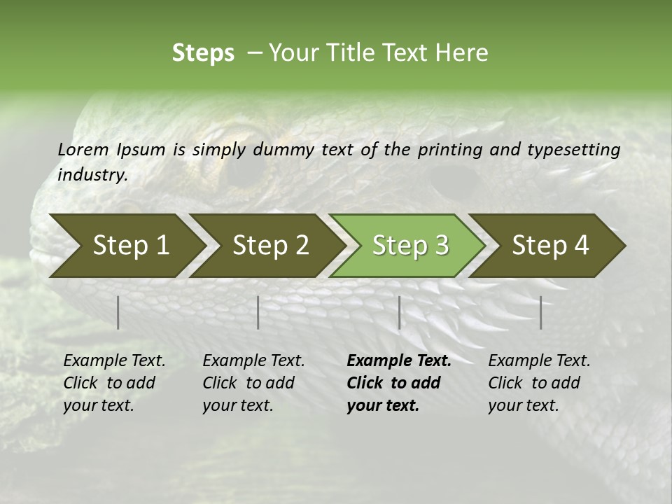 Close Up Of Bearded Dragon Reptile PowerPoint Template