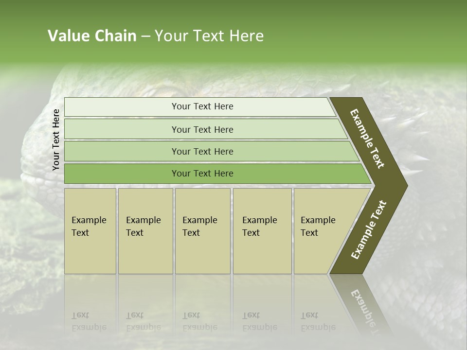 Close Up Of Bearded Dragon Reptile PowerPoint Template