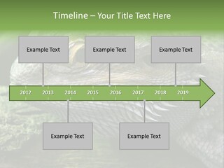 Close Up Of Bearded Dragon Reptile PowerPoint Template