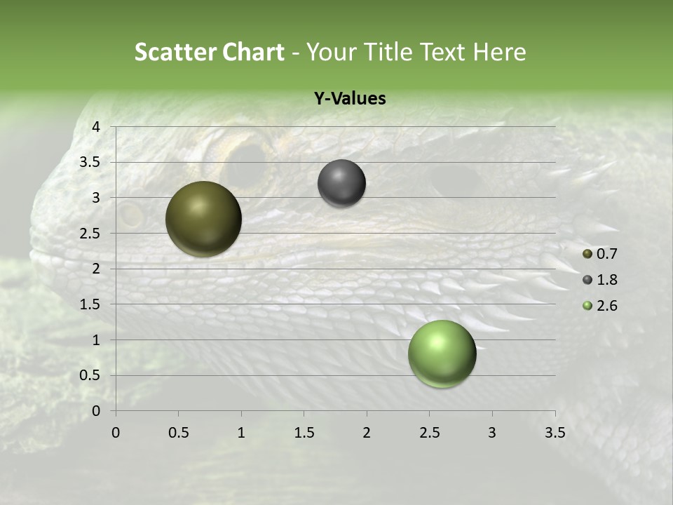 Close Up Of Bearded Dragon Reptile PowerPoint Template