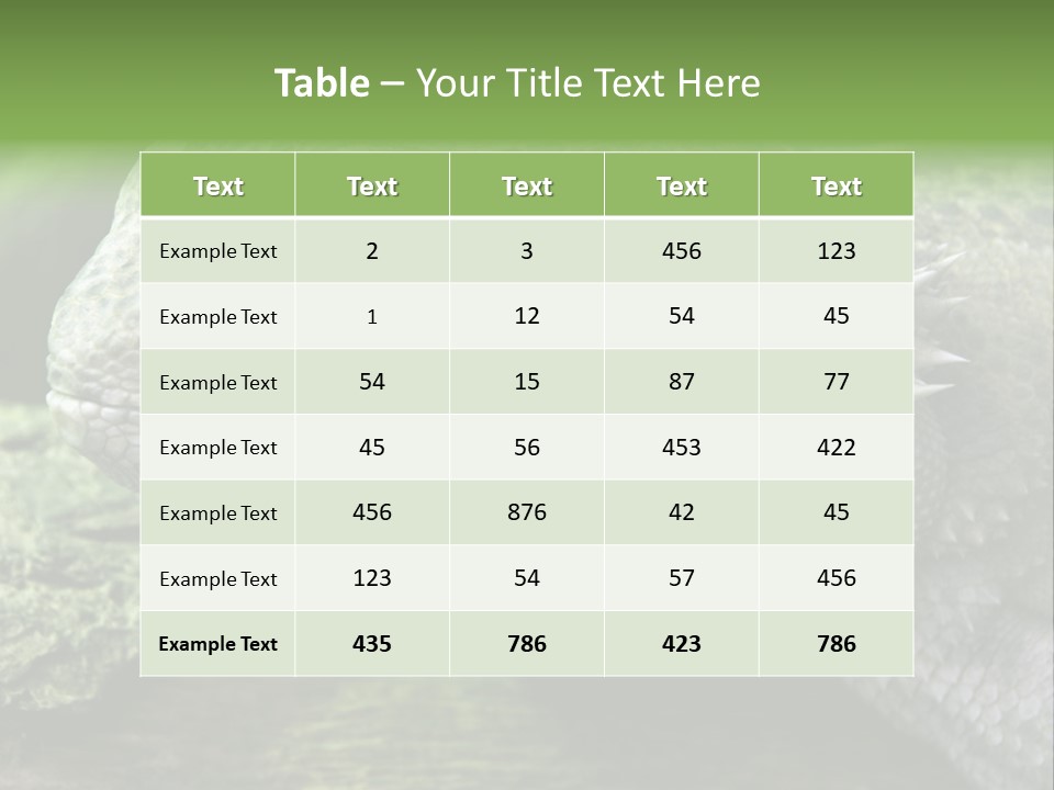 Close Up Of Bearded Dragon Reptile PowerPoint Template