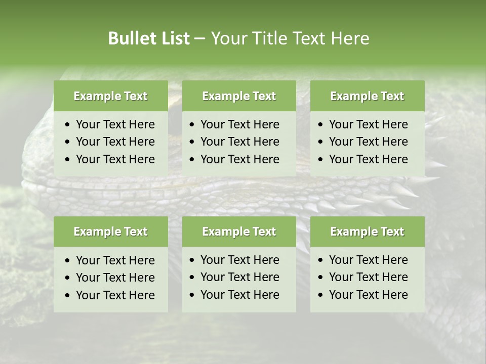 Close Up Of Bearded Dragon Reptile PowerPoint Template