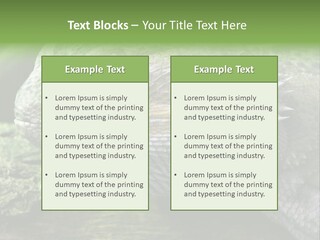 Close Up Of Bearded Dragon Reptile PowerPoint Template