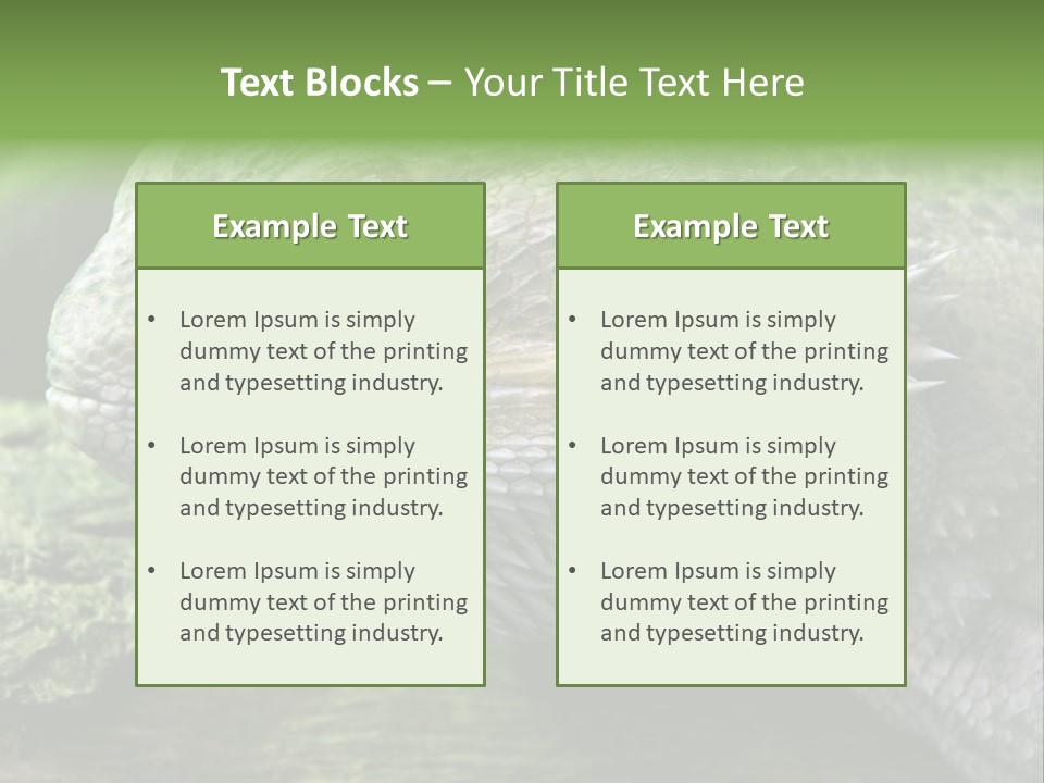 Close Up Of Bearded Dragon Reptile PowerPoint Template