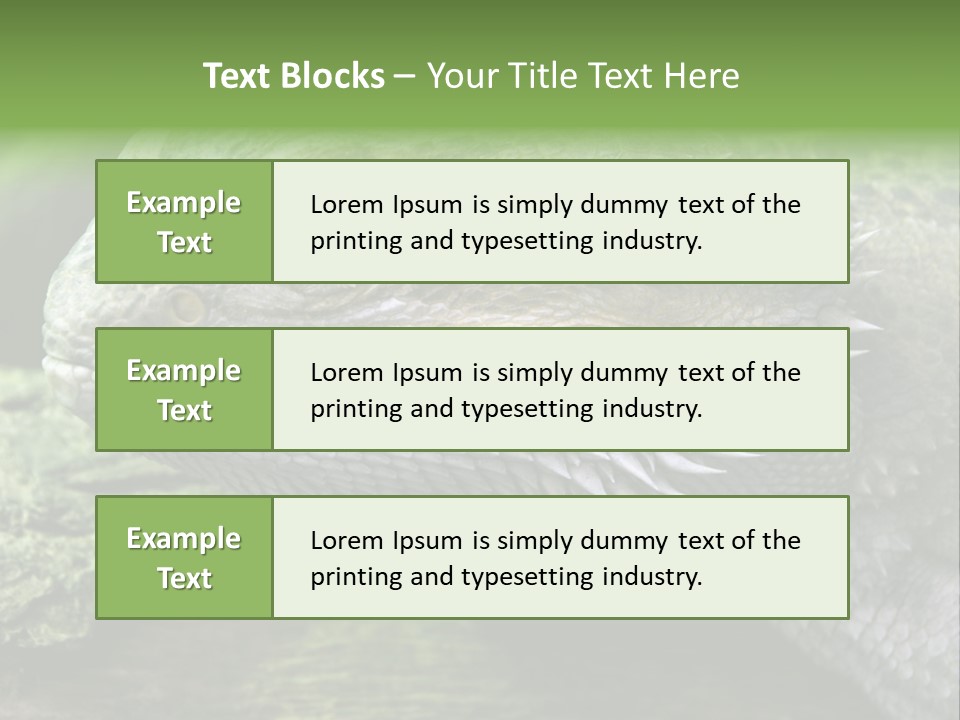 Close Up Of Bearded Dragon Reptile PowerPoint Template