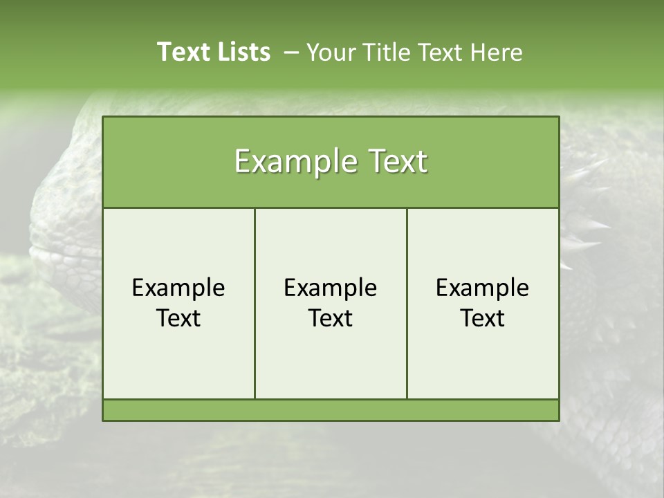 Close Up Of Bearded Dragon Reptile PowerPoint Template