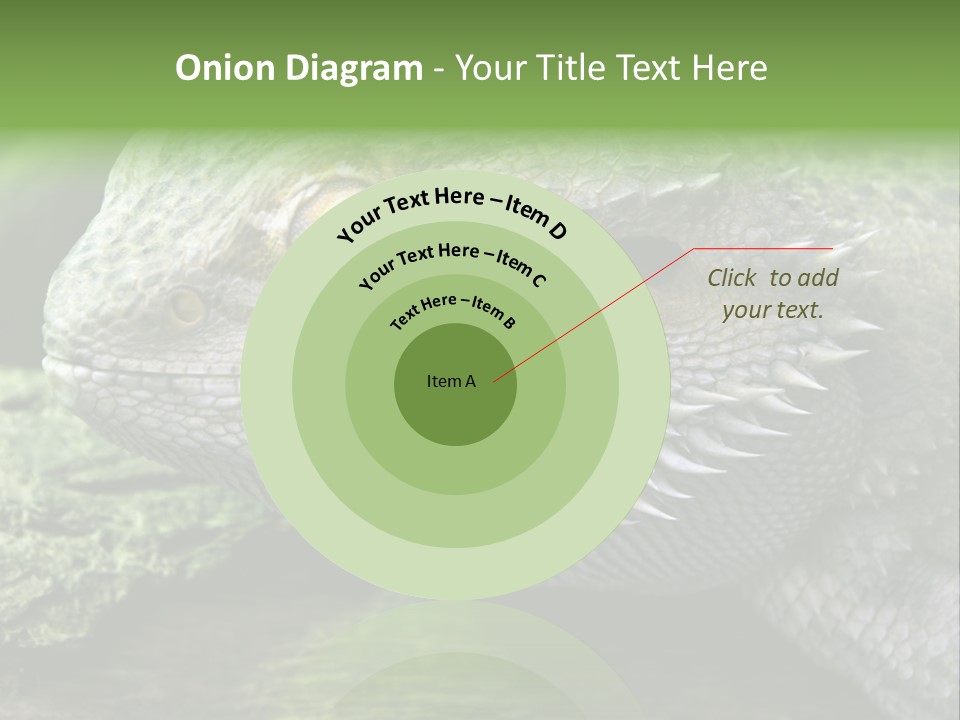 Close Up Of Bearded Dragon Reptile PowerPoint Template