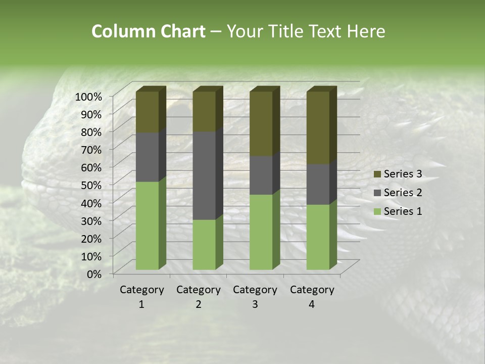 Close Up Of Bearded Dragon Reptile PowerPoint Template