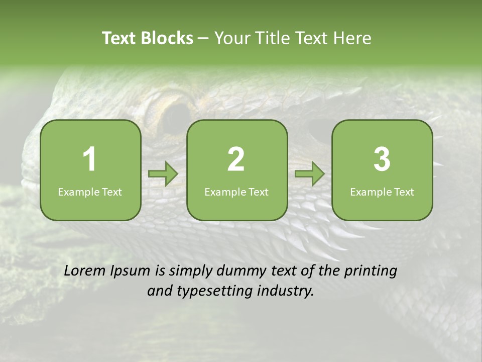 Close Up Of Bearded Dragon Reptile PowerPoint Template