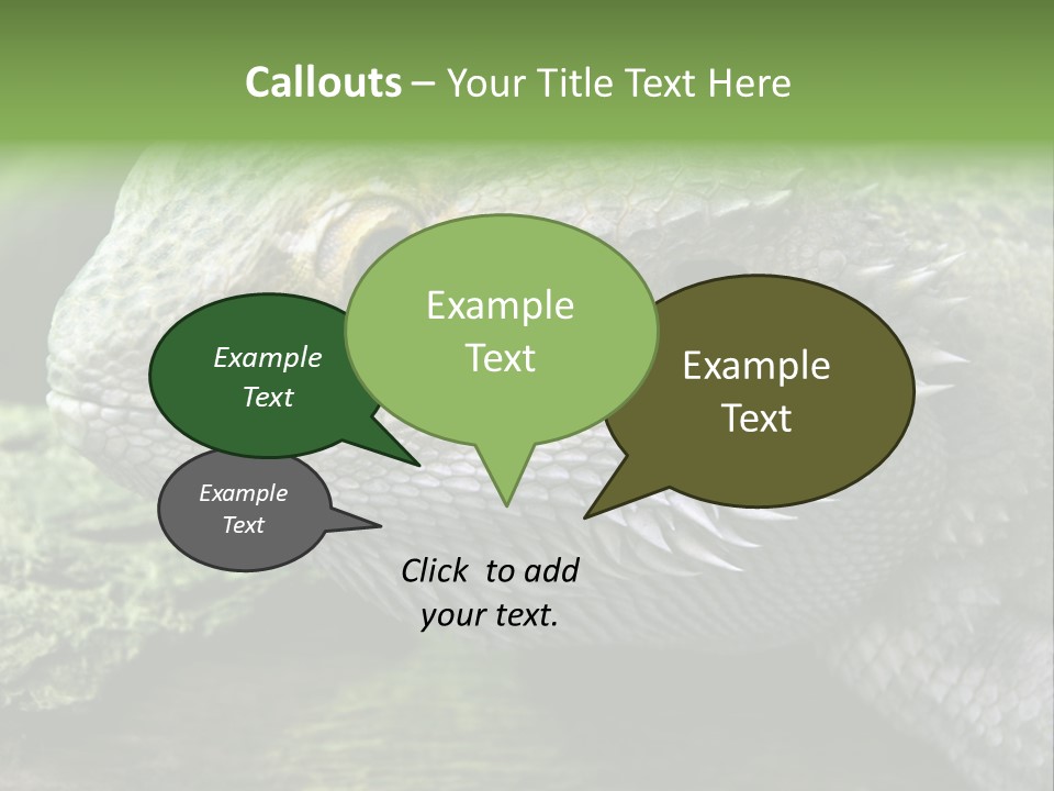 Close Up Of Bearded Dragon Reptile PowerPoint Template